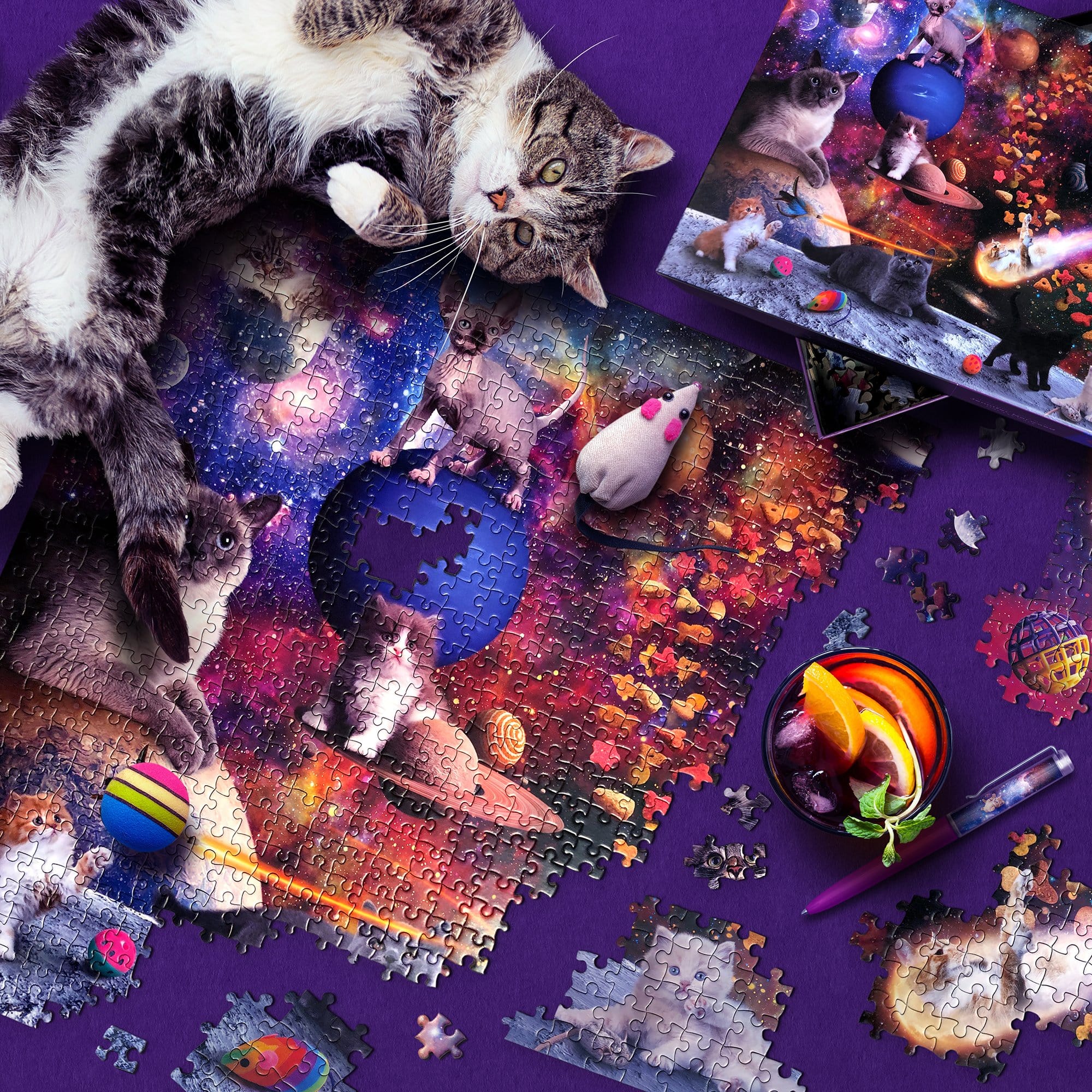 1000 PIECE PUZZLE: GALAXY CATS